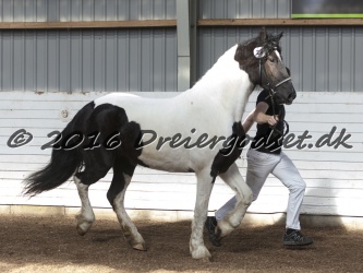 Musica Af Kashede 064