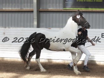 Musica Af Kashede 065