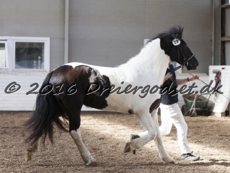 Musica Af Kashede 066