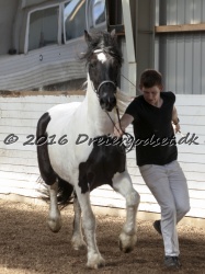 Musica Af Kashede 067