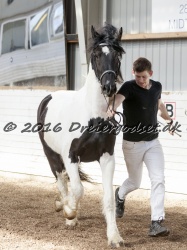 Musica Af Kashede 068