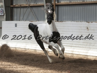 Musica Af Kashede 069