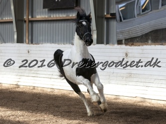 Musica Af Kashede 071