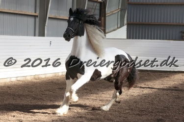 Musica Af Kashede 073