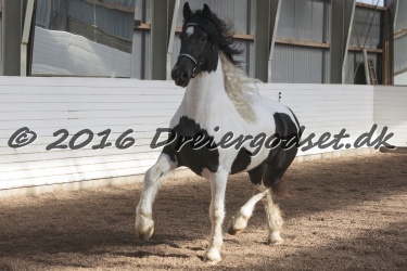 Musica Af Kashede 075