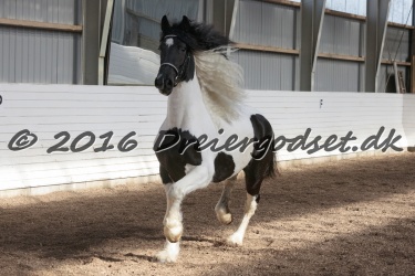 Musica Af Kashede 076