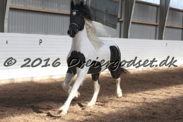 Musica Af Kashede 077