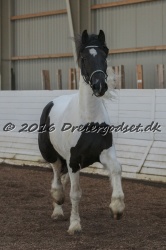 Musica Af Kashede 079