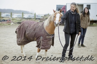 Kongsh  js Nuggi 001