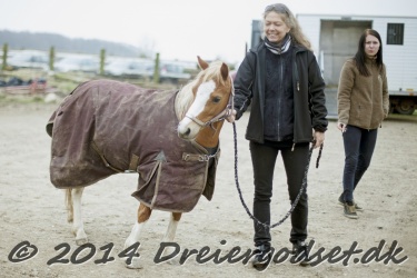 Kongsh  js Nuggi 002