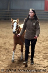 Kongsh  js Nuggi 016