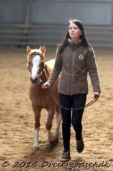 Kongsh  js Nuggi 017