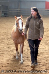 Kongsh  js Nuggi 018