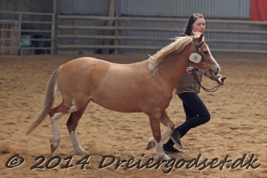 Kongsh  js Nuggi 021