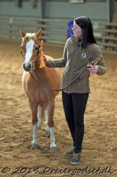 Kongsh  js Nuggi 043