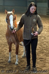 Kongsh  js Nuggi 044