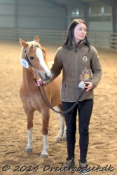 Kongsh  js Nuggi 045