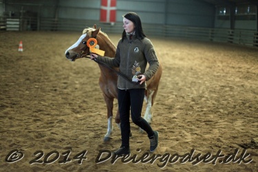 Kongsh  js Nuggi 047