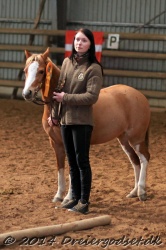 Kongsh  js Nuggi 048