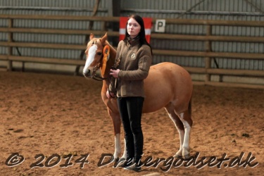 Kongsh  js Nuggi 049