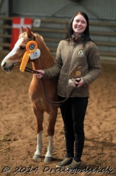 Kongsh  js Nuggi 052