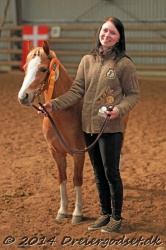 Kongsh  js Nuggi 053