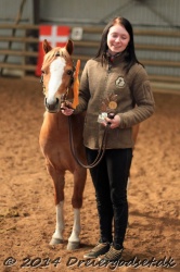 Kongsh  js Nuggi 056