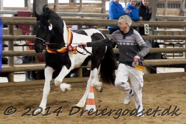 Kat  2 Jaques