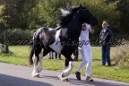 Lancelot-014