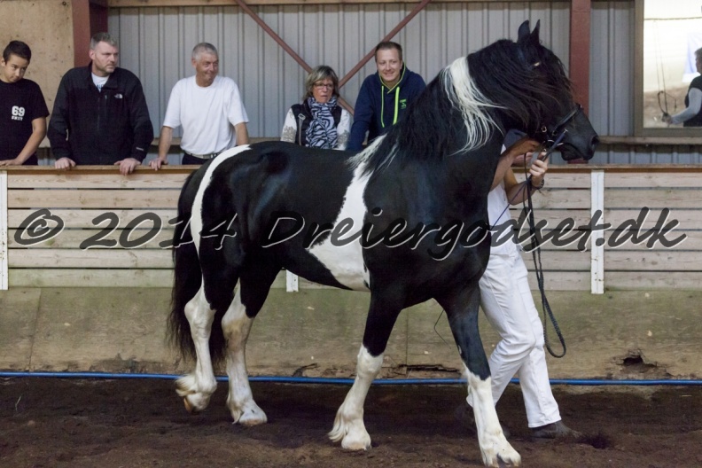 Lancelot-075.jpg