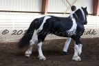 Lancelot-076