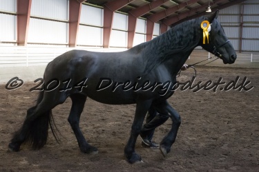 Nr  8   Teresa  s   Frieser