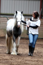 Klasse 6   Irish Cob   Hoppeplage 2    rs